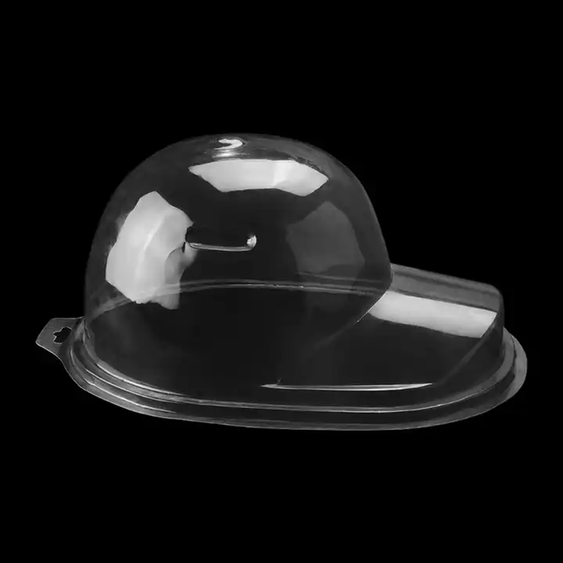 hat protector case